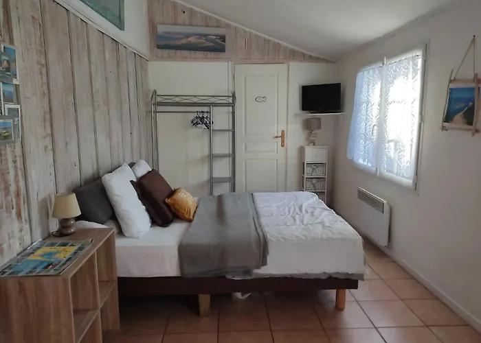 Bois Flotté Gujan-Mestras