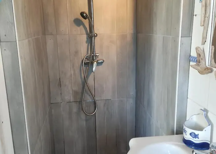 Bois Flotté Gujan-Mestras